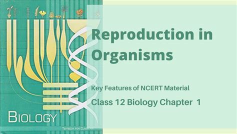 Reproduction In Organisms Class 12 Biology Ncert Chapter 1 Reeii