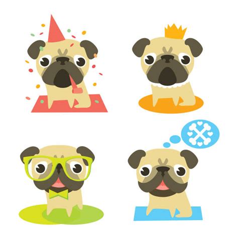 Royalty Free Pugs Clip Art Vector Images And Illustrations Istock