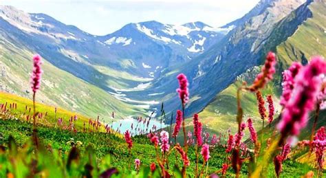 Check spelling or type a new query. Uttarakhand Trekking Tours Packages Cost, Price and ...
