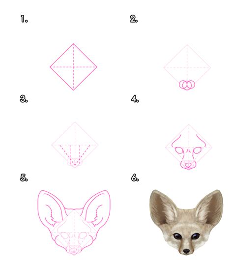 How To Draw Animals Foxes