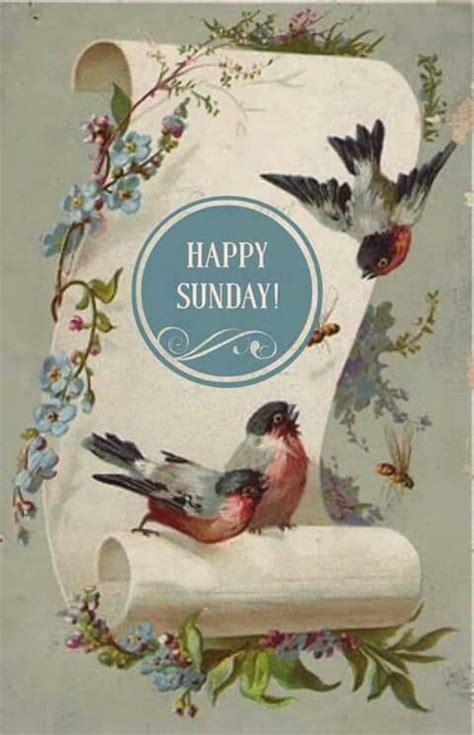 Happy Sunday Vintage Birds Valentine Postcards Vintage Postcards