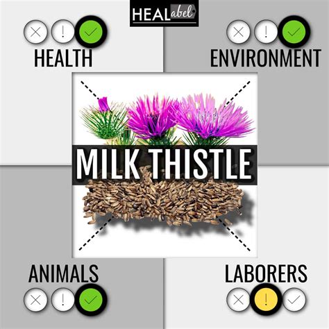 Milk Thistle Health Benefits Archives Healabel