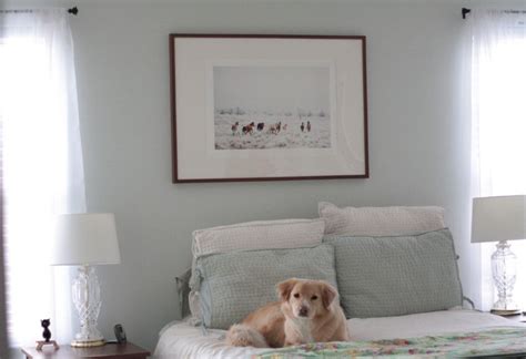 I would vote for aura for general all around durability. Master Bedroom Tour | Master bedroom, Home, Home decor styles