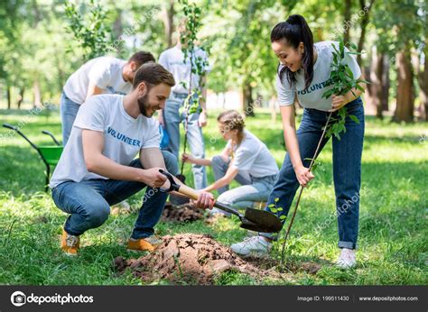 Young Volunteers Planting Trees Green Park Together Stock Photo By