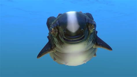 Image Cute Fish 2 Subnautica Wiki Fandom Powered By Wikia