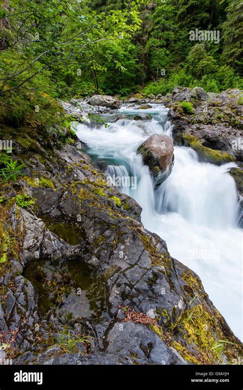 Sol Duc Salmon Cascades Stock Photo Alamy