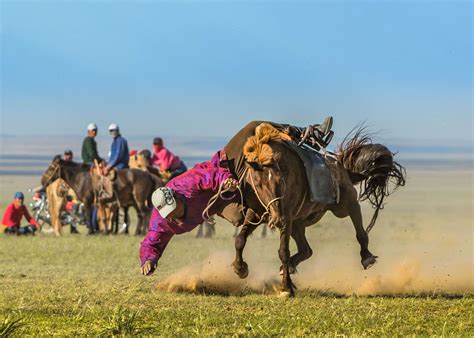 Tour Hostelbudget Tours In Mongolia Naadam Festival Mongolia
