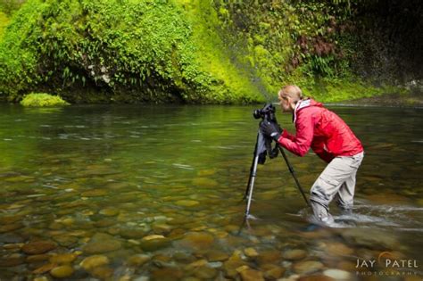 6 Nature Photography Tips For Beginners The Frisky