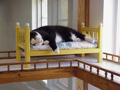 Because you are telling me of your dogs panicking, it's a good time to review what is known to help frightened. Pet Resorts Luxury Pet Boarding : TravelChannel.com ...