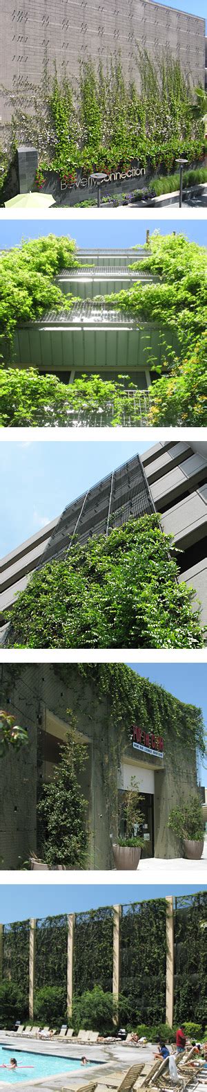 Greenscreen® Is An Innovative Landscape Trellis System That Provides