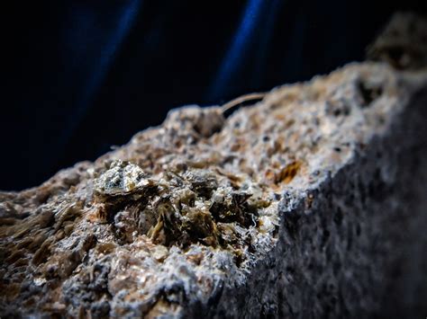 What is vermiculite and how to use it? Flickriver: Asbestorama's photos tagged with plaster