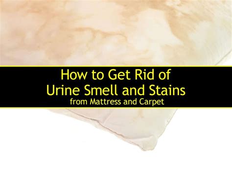 Maybe you would like to learn more about one of these? How to Get Rid of Urine Smell and Stains from Mattress and ...