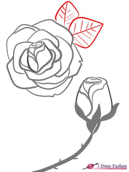 Draw a rose for beginners. How to draw roses | I Draw Fashion
