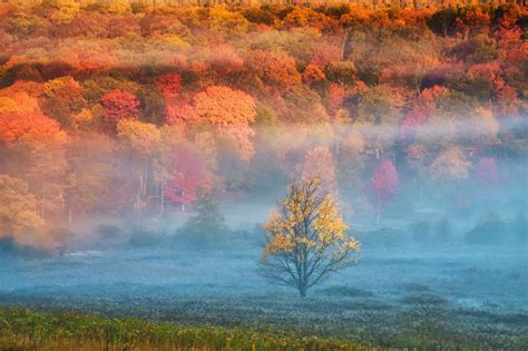 A State By State Guide To Fall Colors