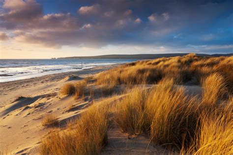 Studland Bay Britains 40 Best Beaches According To Our Experts