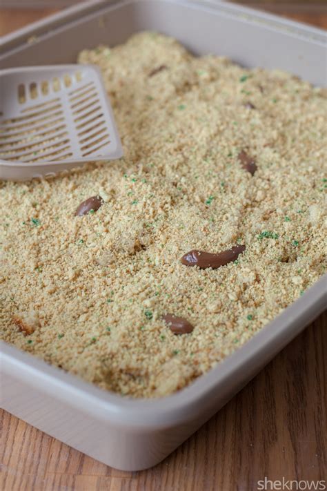 Kitty litter cake is grossest and tastiest recipes to make halloween a scream! Kitty litter cake is the April Fools' Day prank your kids ...