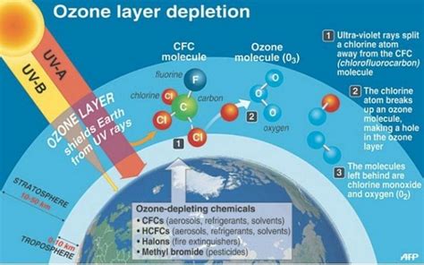 Ozone Layer Depletion Causes Effects And Solutions