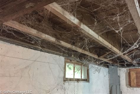 We did not find results for: SoPo Cottage: Is It Possible to Transform a Boring Ranch ...
