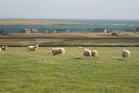 A Lifetime Of Islands Island 110 Papa Westray Orkney