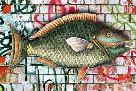 Graffiti Fish Fishing Pop 4 Painting By Tony Rubino Fine Art America
