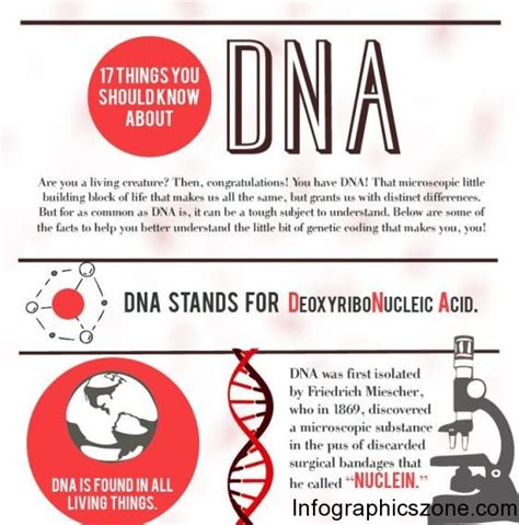 17 Things You Should Know About Dna Infographic