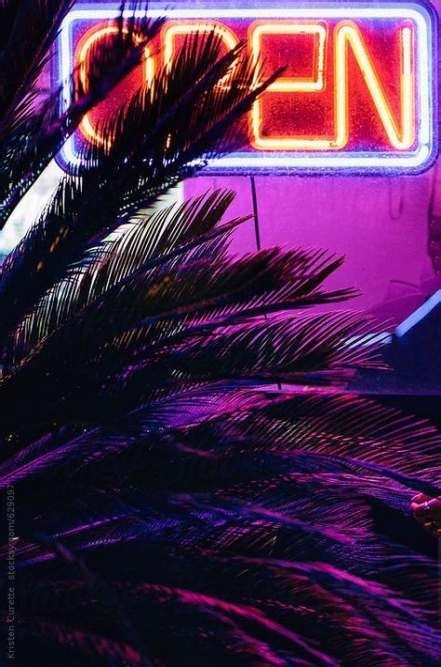 Palm Tree Aesthetic Neon 29 Ideas Tree With Images