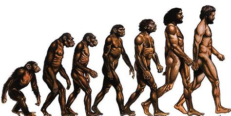 Teori Evolusi Pandangan Evolusi Menurut Para Ahli Lengkap