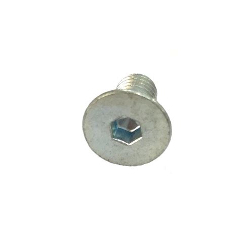 TSVEI M4x10 galvanized screw