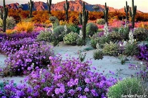 You might also want to experiment. Pin on Deserts