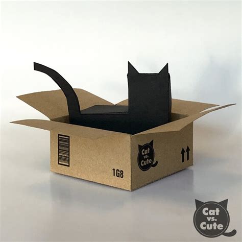 Cat In Cardboard Box 5 Reasons Why Cats Love Cardboard Boxes So Much