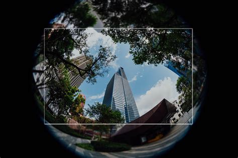 Complete Guide To The Fisheye Lens And How It Works Photography Project