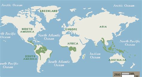 Emergent, upper canopy, understory, and forest floor. Tropical Rain Forest Distribution Tropical rain forests are located... | Download Scientific Diagram