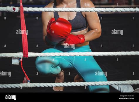 Female Boxer Wearing Boxing Gloves Stock Photo Alamy