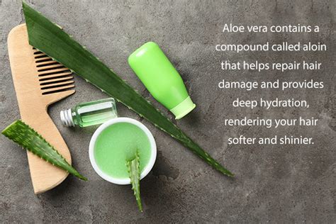 Aloe Vera Benefits For Skin Hair And Health Emedihealth