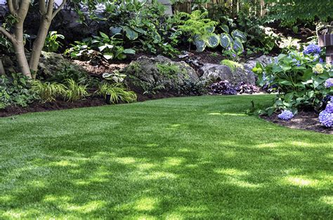 Ten Ways To Add Shade To Your Landscape Kandd Landscaping