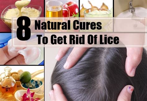 How to get rid of hair fall with dihydrotestosterone or dht is a natural metabolite of the male sex hormone testosterone. 8 Natural Cures To Get Rid Of Lice - Treatments & Cure For ...
