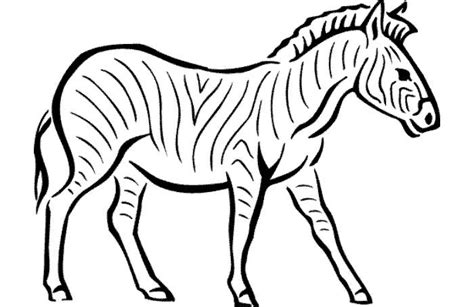 40+ Zebra Templates - Free PSD, Vector EPS, PNG Format Download | Free