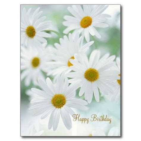 Daisy Flowers Birthday Postcard In 2021 Daisy Flower