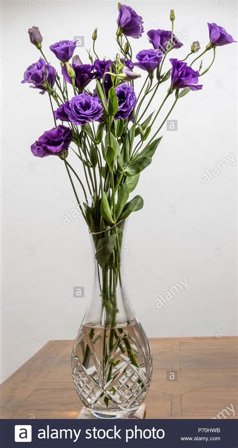 Meilleur shop en ligne achat cbd en gouttes ou fleur de chanvre cbd achat cannabis livraison express cbd ultra puissant. Un bouquet de fleurs mauve Lisianthus dans un vase en ...