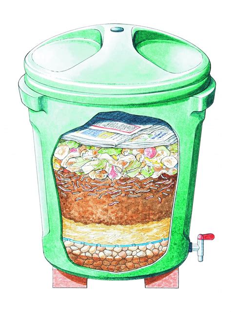 How much compost for an existing lawn? Compost in the making | How It Works