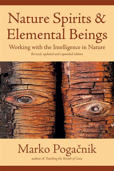 Nature Spirits And Elemental Beings Book By Marko Pogacnik Official