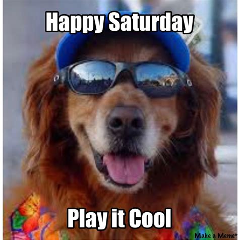 Find and save happy saturday memes | from instagram, facebook, tumblr, twitter & more. Check out this meme I made with #makeameme | Memes, Happy ...