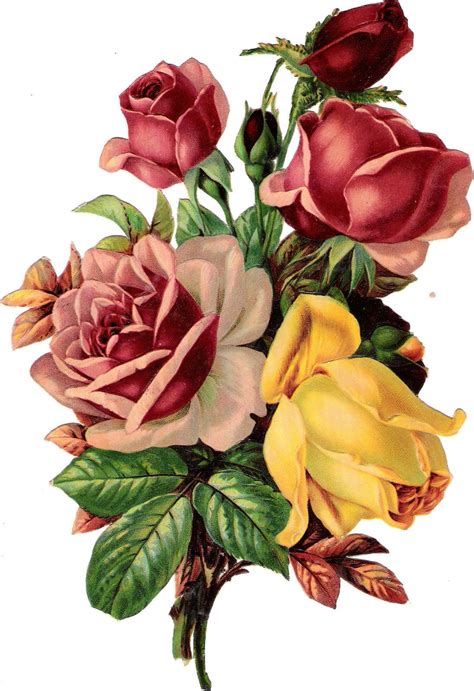 Plaatjes Rose Rose Glanzbilder Victorian Die Cut Victorian
