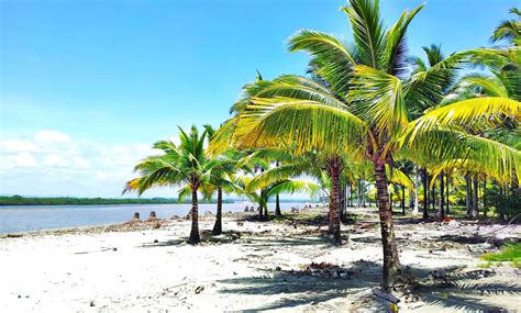 Previsión de clima y temperaturas para hoy, mañana y los próximos 14 días en ecuador. La Costa | Best Destinations