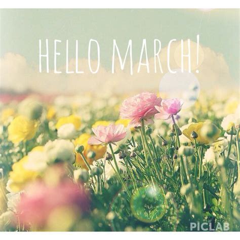 Image Result For Hello March Meme Flowers Love Flowers Hello March