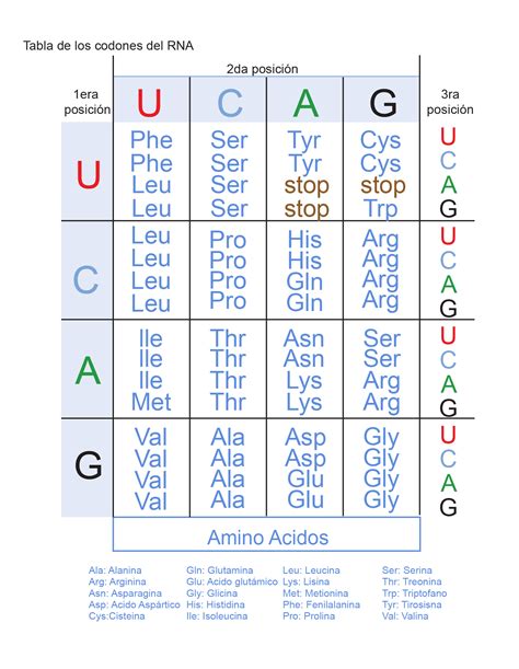Tabela De Codigo Genetico Ictedu