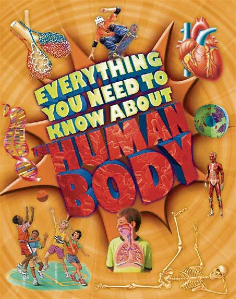 Everything You Need To Know About The Human Body Patricia Macnair