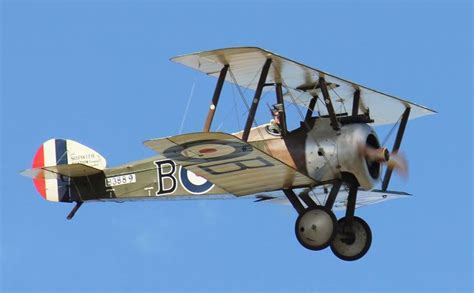In that time, females can lay five to six batches of eggs. 17 Best images about sopwith on Pinterest | Models, Ea and ...