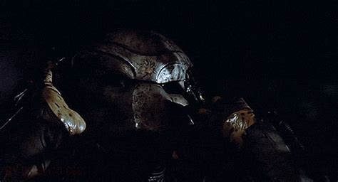 The image measures 1605 * 2020 pixels and is 1882 kilobytes large. predator 1987 gif | Tumblr