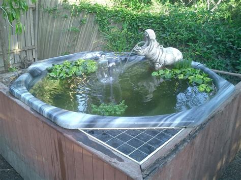 Hot Tub Garden Ponds Backyard Indoor Pond